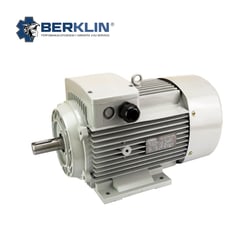 BERKLIN - MOTOR ELÉCTRICO TRIFASICO DE 5.5 HP 1750RPM