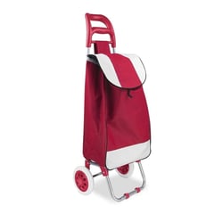 OTTOWARE - Carrito Portátil y Plegable para Compras