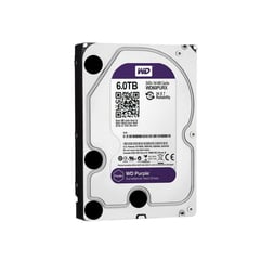 WESTERN DIGITAL - Disco Duro 6TB 6000GB Wester Digital Purpura Purple