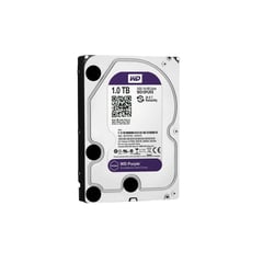 WESTERN DIGITAL - Disco Duro 1TB 1000GB Wester Digital Purpura Purple