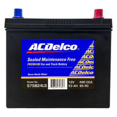 ACDELCO - Batería para Auto 13 Placas S75B24LS