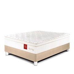 PARAISO - Cama Royal Prince 1.5 Plaza Champagne + Almohada + Protector