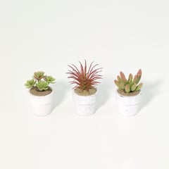 JUST HOME COLLECTION - Set de 3 Suculentas Artificiales 7cm