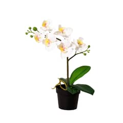 JUST HOME COLLECTION - Planta Artificial Orquídea Color Surtido 34cm